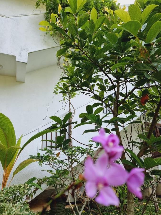 Sandil Surf House آهانغاما المظهر الخارجي الصورة